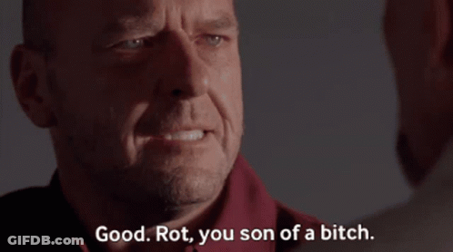 Man Saying Good Rot You Son Of A Bitch GIF
