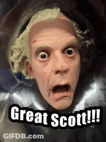 Man Saying Great Scott GIF