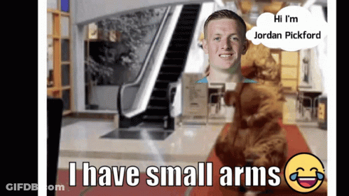 Man Saying Hi I'm Jordan Pickford GIF