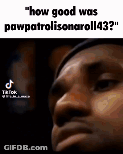 Man Saying How Good Was Pawpatrolisonaroll43 GIF