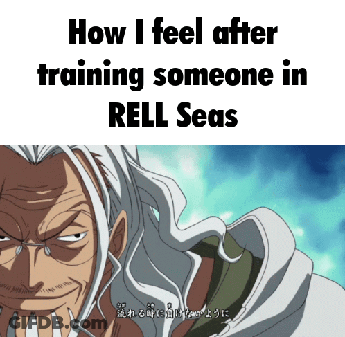 Man Saying How I Feel After Training Someone In Rell Seas GIF