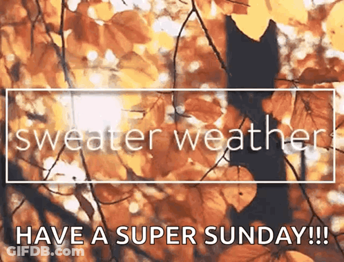 Man Saying I Love Fall In Front Of Leaves GIF