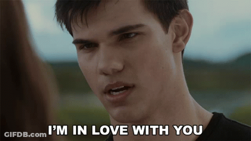 Man Saying I'm In Love With You To Woman GIF