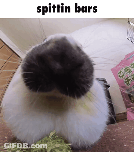Man Saying I Wasn't Late GIF