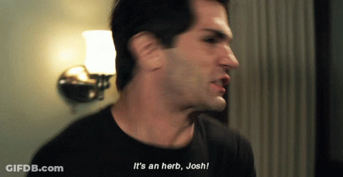Man Saying It's An Herb Josh GIF