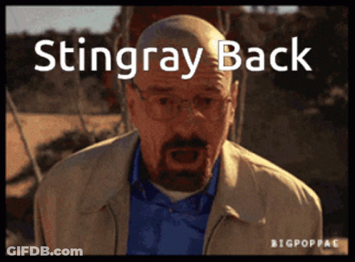 Man Saying Stingray Back GIF