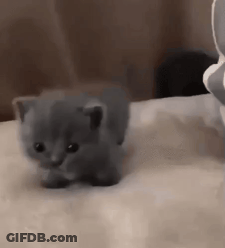 Man Saying Tell Me Your Secrets GIF