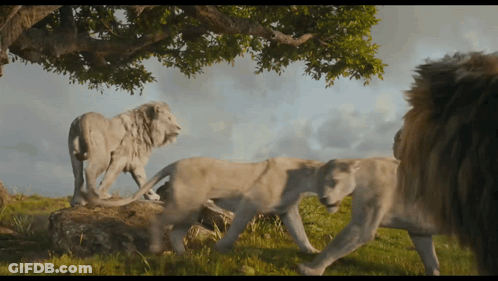Man Saying Whose Fault Is That Not Mine GIF
