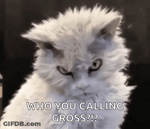 Man Saying You Got It? Good GIF