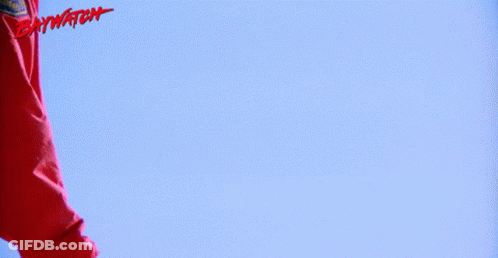 Man Says Don't Call That Dog Lifesaver GIF