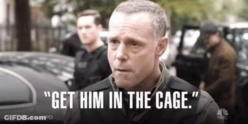 Man Says Get Him In The Cage Beside Car GIF