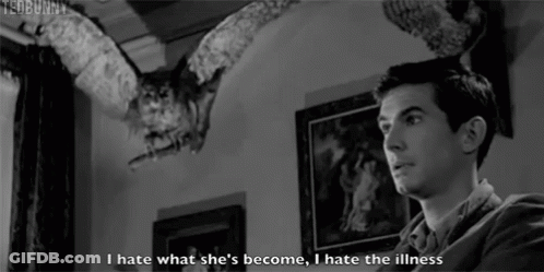 Man Says I Hate What She Became GIF