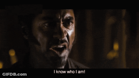 Man Says I'm A Dude Playing A Dude Disguised As Another GIF