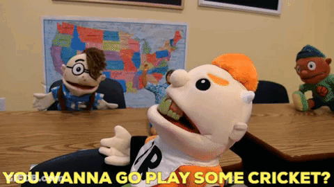 Man Says I Said I'm Fine Blurry Photo GIF
