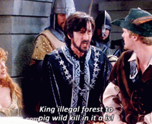 Man Says King Illegal Forest To Pig Wild Kill In It All GIF