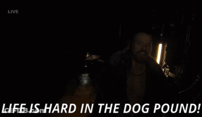 Man Says Life Is Hard In The Dog Pound GIF