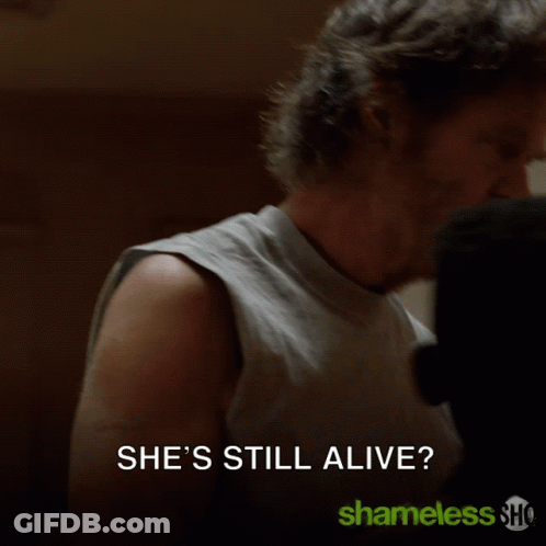 Man Says She's Still Alive Shameless GIF