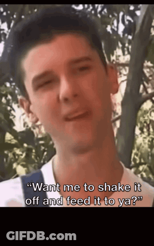 Man Says Want Me To Shake It Off And Feed It To Ya GIF
