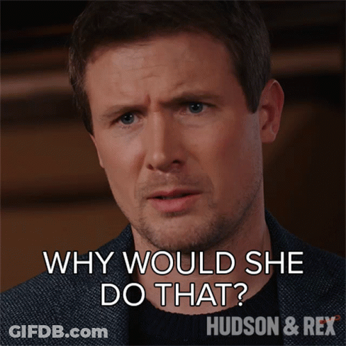 Man Says Why Would She Do That Hudson & Rex Poster GIF