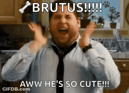 Man Screaming Brutus Aww He's So Cute GIF