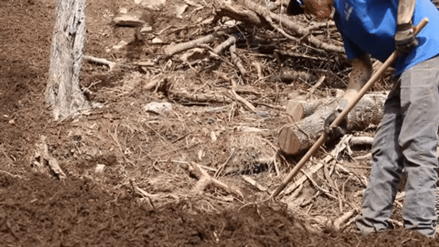 Man Searching For Branches Under Mulch GIF