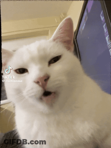 Man Selfie It's A Cruel World For A Nonchalant GIF