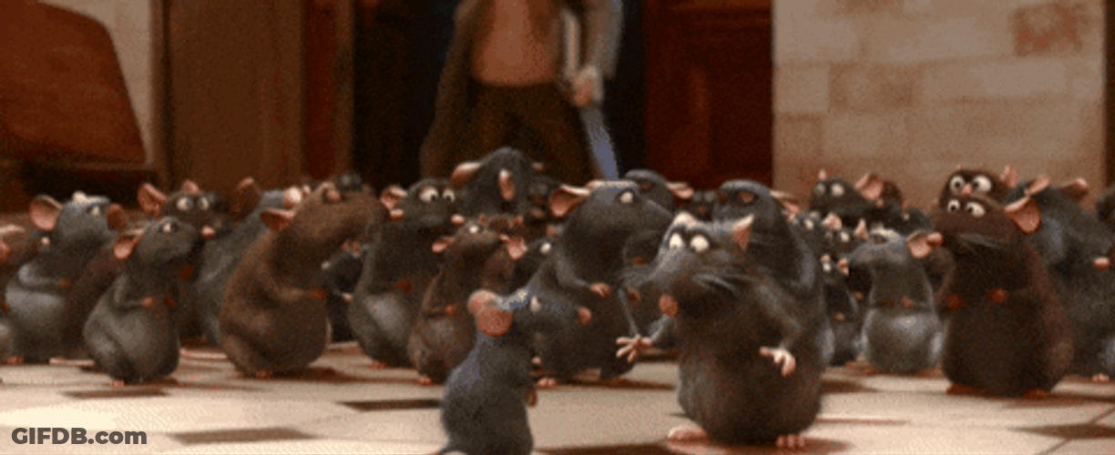 Man Shocked By Rat Showering GIF