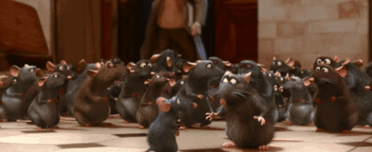 Man Shocked By Rats Ratatouille GIF