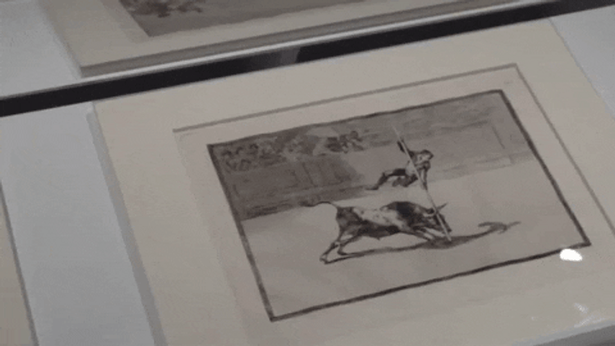 Man Shooting An Animal Museum GIF
