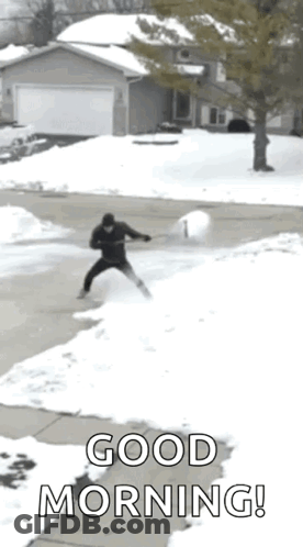 Man Shoveling Snow With Dog Watching GIF