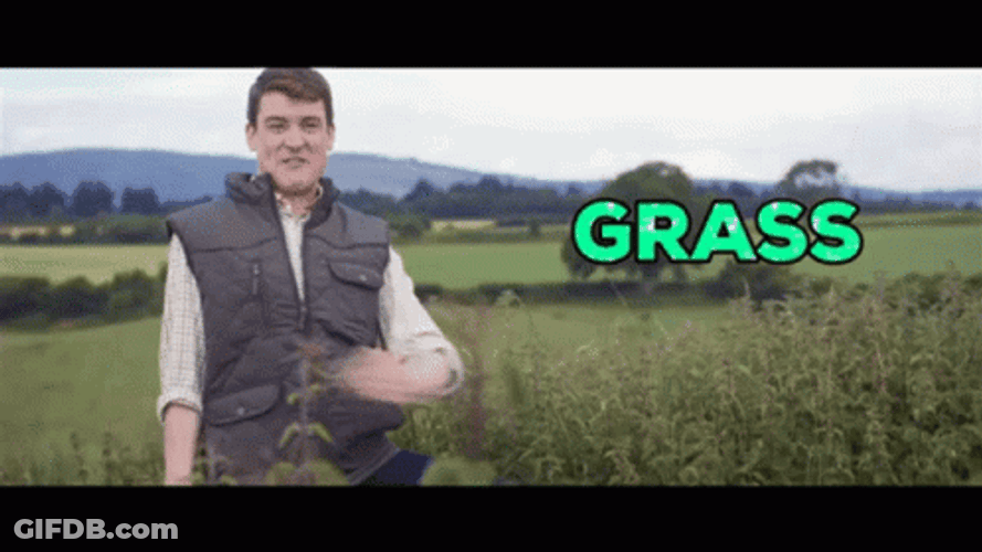 Man Showing Grass Agriculture GIF