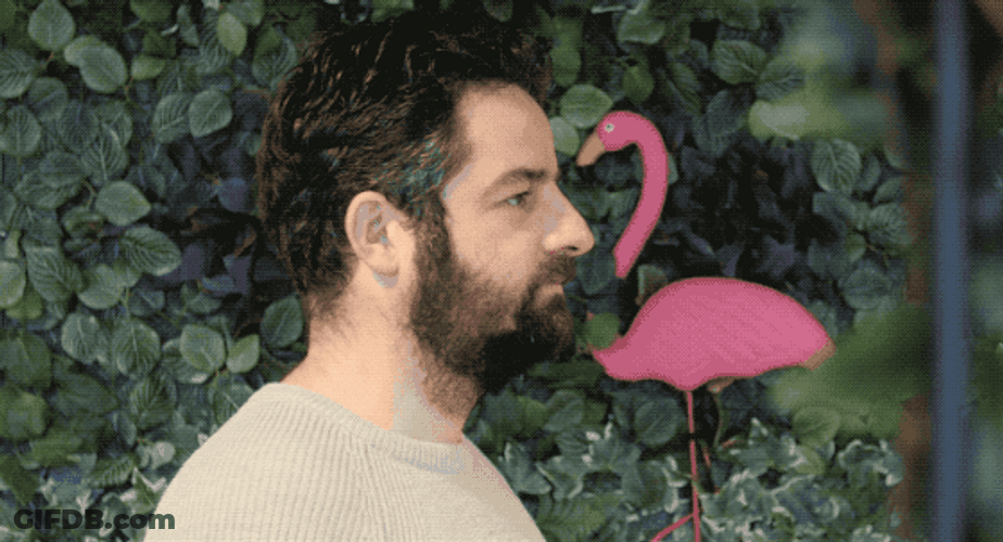 Man Signals Will Do Sign GIF