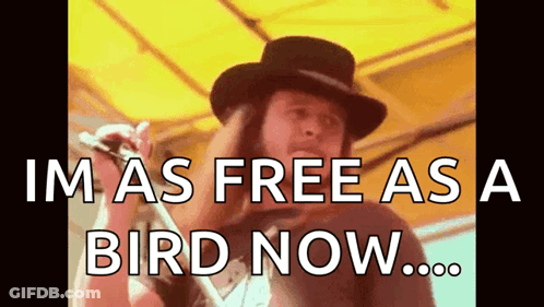 Man Singing Im As Free As A Bird Now GIF