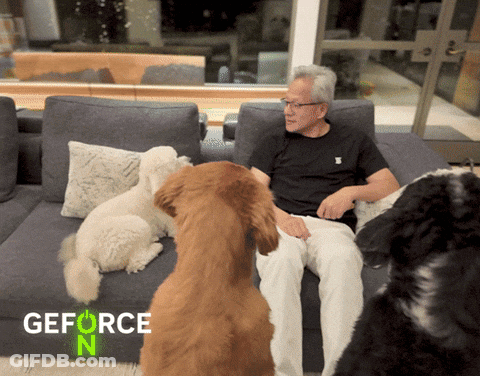Man Sits On Couch Surrounded By Dogs GEFORCE N GIF