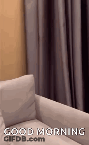 Man Sitting At Computer With Caption Mods Delet His CSS Code Immediately GIF