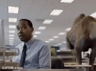Man Sitting At Desk With Elephant GIF