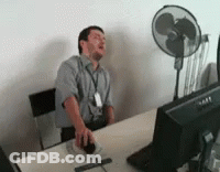 Man Sitting At Desk With Mouse And Fan GIF