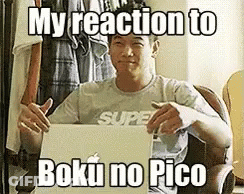 Man Sitting At Laptop With Caption My Reaction To Boku No Pico GIF