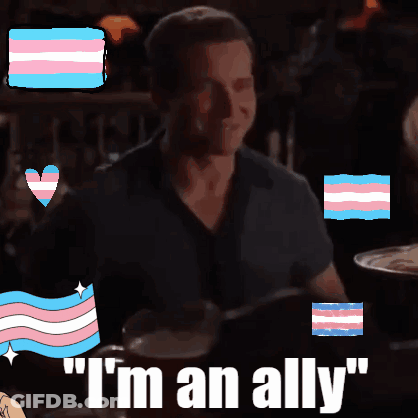Man Sitting At Table Saying I'm An Ally GIF