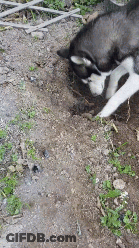Man Sitting At Table Saying This Is Good As Well GIF