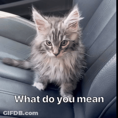 Man Sitting At Table Saying What's That Mean GIF