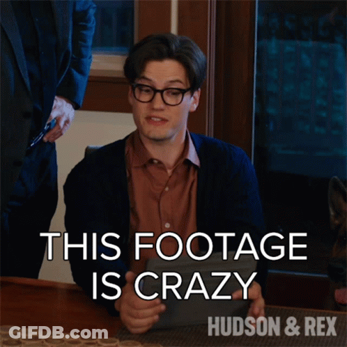 Man Sitting At Table This Footage Is Crazy Hudson & Rex GIF
