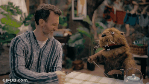 Man Sitting At Table With Stuffed Beaver GIF