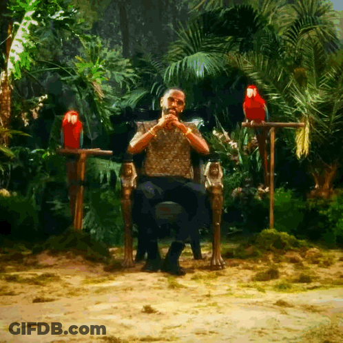 Man Sitting In Chair With Two Parrots On Branch GIF