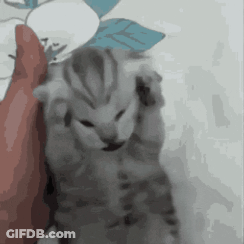Man Sitting In Front Of Pro Tips Sign GIF
