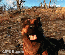 Man Sitting In Jungle Says I'm A Villain Now GIF
