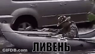 Man Sitting In Kayak Next To Car GIF