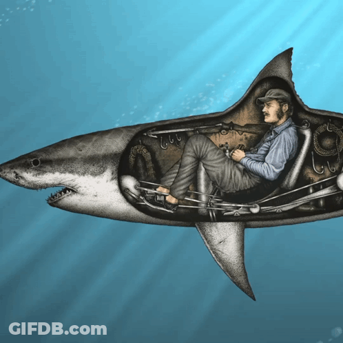 Man Sitting Inside Shark's Mouth GIF