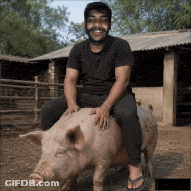 Man Sitting On Back Of Pig GIF