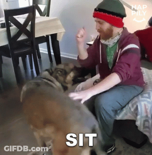 Man Sitting On Bed With Dog Saying Sit GIF